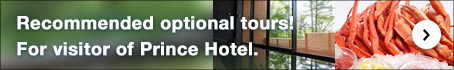 Recommended optional tours! For visitor of Prince Hotel. Click