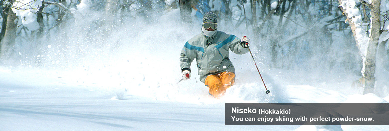 Niseko (Hokkaido) You can enjoy skiing with perfect powder-snow.