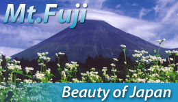 Mt.Fuji -Beauty of Japan-