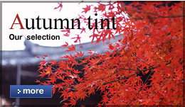 AutumnTint