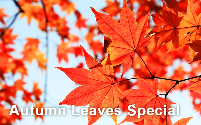 Kyoto Hotel & Ryokan