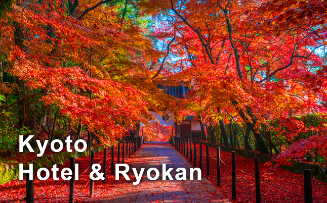 Tokyo Hotel & Ryokan