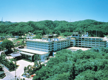 Hotel New Mitoya