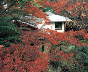 Goura- Kansuirou