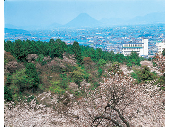 Hotel facade in spring.