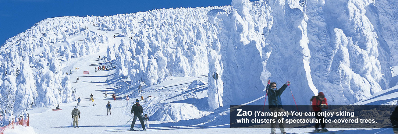 Zao You can enjoy skiing with clusters of spectacular ice-covered trees.